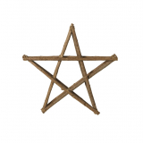 Anhänger Stern Zweige