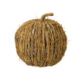 Kürbis