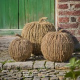 Kürbis