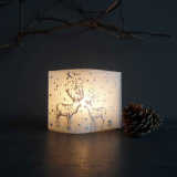 Winterlichtpost. Hirsch und Reh